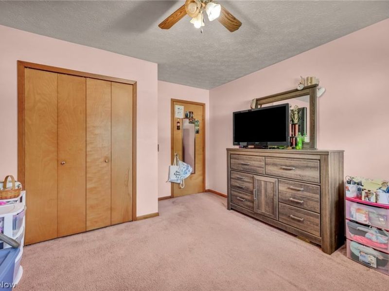 1141 Novak Road, Grafton, OH 44044 Photo 25