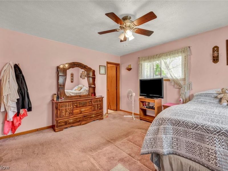 1141 Novak Road, Grafton, OH 44044 Photo 28