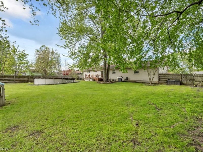 1141 Novak Road, Grafton, OH 44044 Photo 39