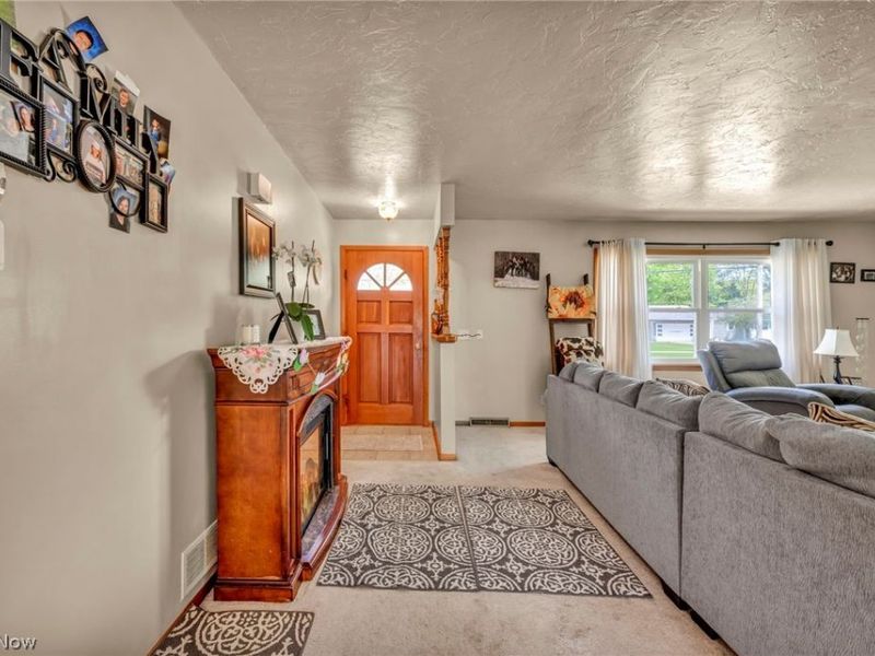 1141 Novak Road, Grafton, OH 44044 Photo 7