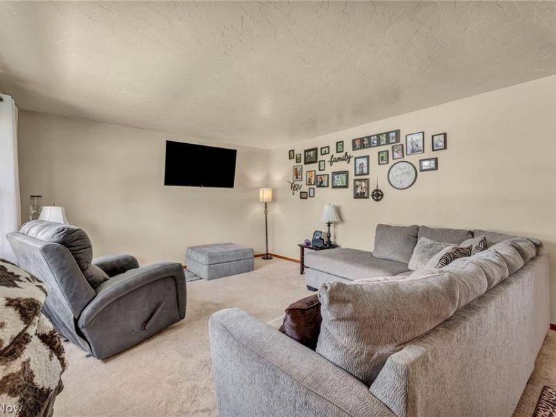 1141 Novak Road, Grafton, OH 44044 Photo 8
