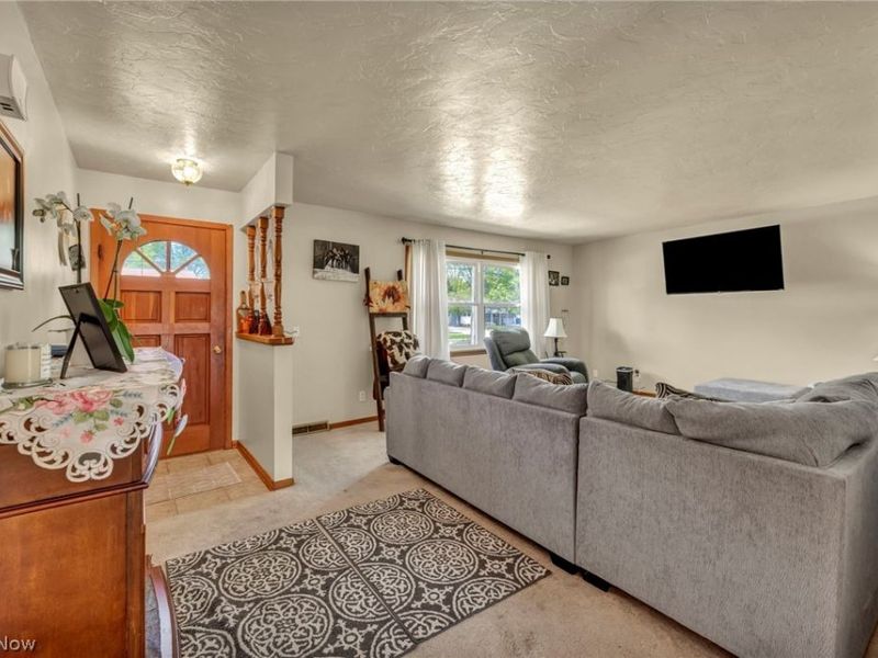 1141 Novak Road, Grafton, OH 44044 Photo 9