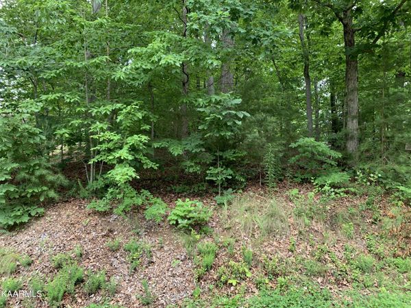 314 Ootsima Lane, Loudon, TN 37774