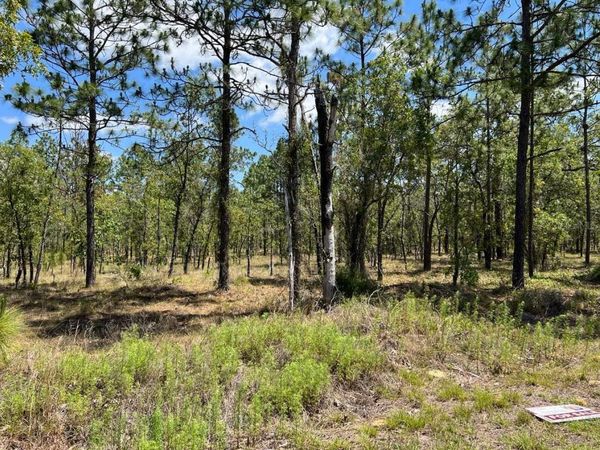 NW AMBERJACK, LOT #33 , DUNNELLON, FL 34431