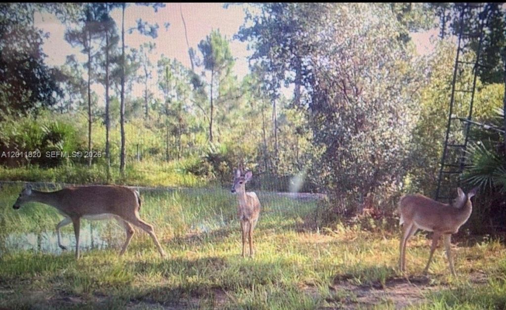 1000 NE 365 Lane , Okeechobee, FL 34972 Photo