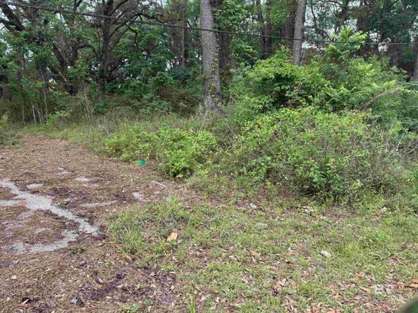 9050 Rice Creek Road, Stockton, AL 36579