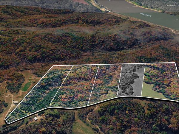 TRACT 1 E CEDAR TREE LANE, Hartsburg, MO 65039