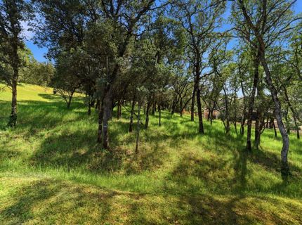 6814 Western Sierra Way, El Dorado Hills, CA 95762 Photo