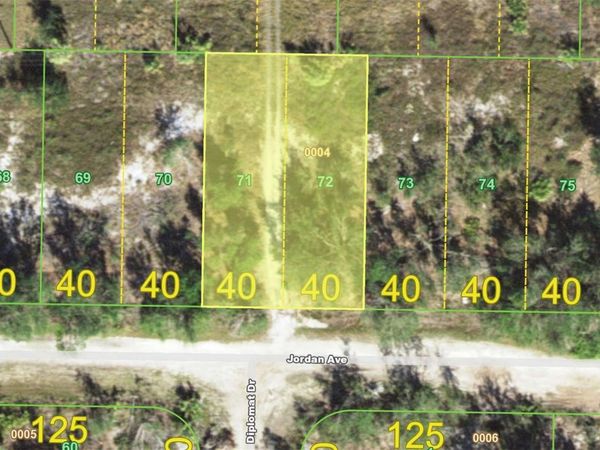 27088 JORDAN AVENUE , PUNTA GORDA, FL 33983