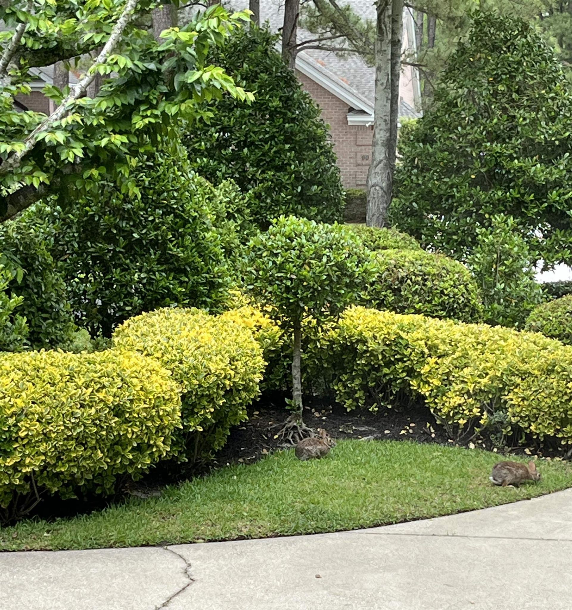 85 Greenbriar Ave. Photo 10