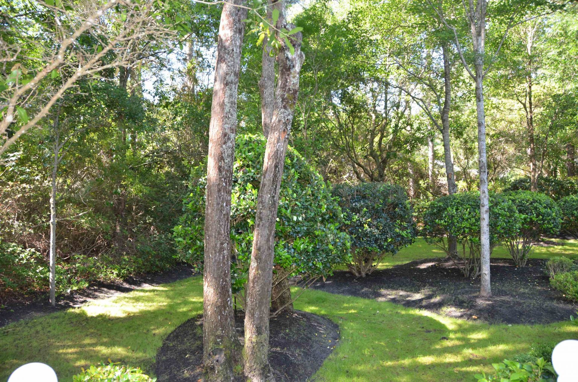 85 Greenbriar Ave. Photo 8