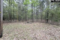 0 Kennerly Road photo 4