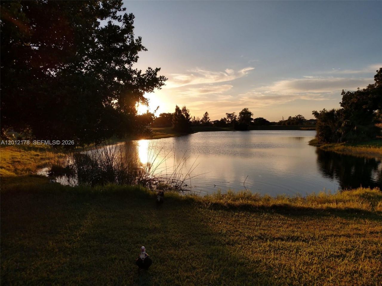 6995 NW 173rd Dr, Unit 2105, Hialeah, FL 33015 Photo