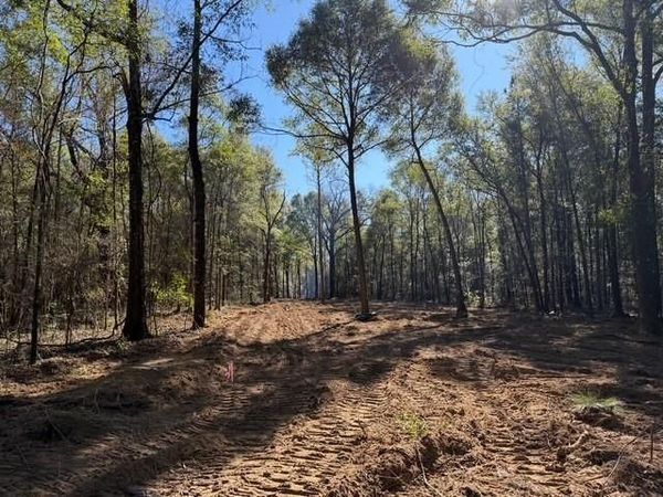 0 Danner Road , Wilmer, AL 36587