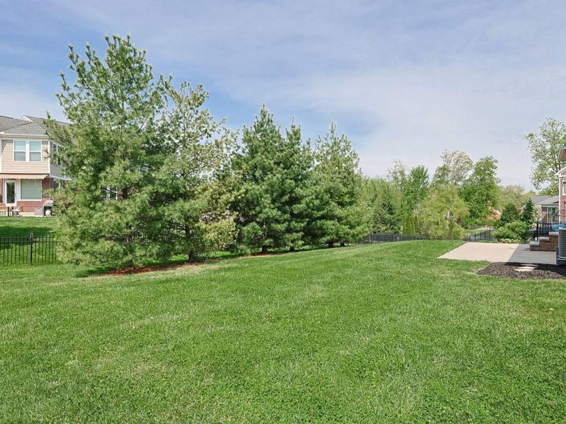 10409 Giacomo Court, Union, KY 41091 Photo 41