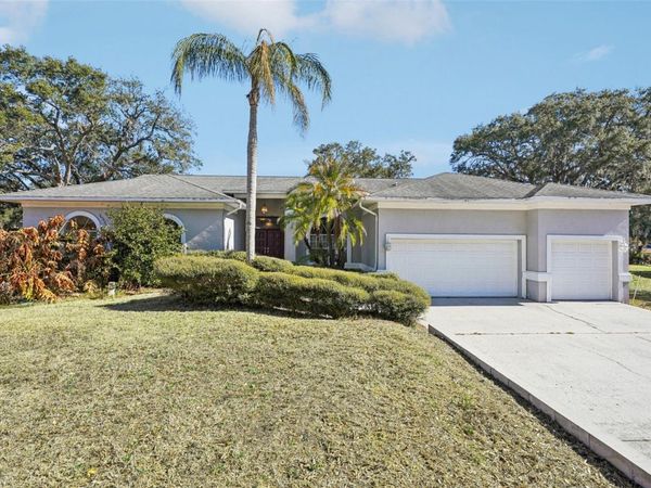 918 ACADEMY DRIVE , BRANDON, FL 33511