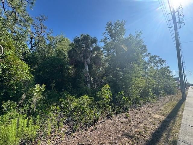 10331 State Road 52, Hudson, FL 34669 Photo