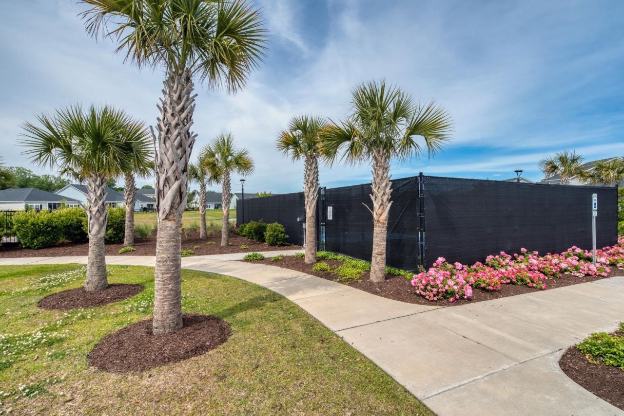 5586 Whitebark Dr. Photo 36