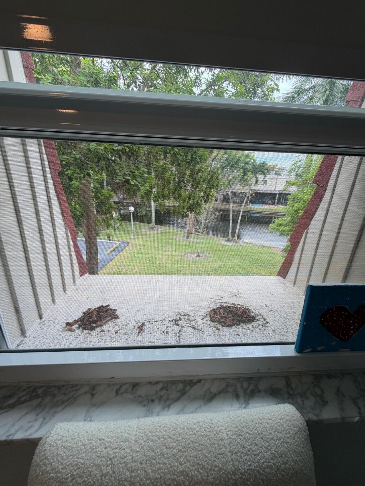 21 Jacaranda Country Club Drive, Unit 224, Plantation, FL 33324 Photo