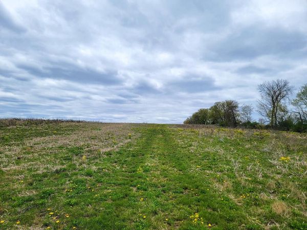N5495 COUNTY RD B, Manawa, WI 54949