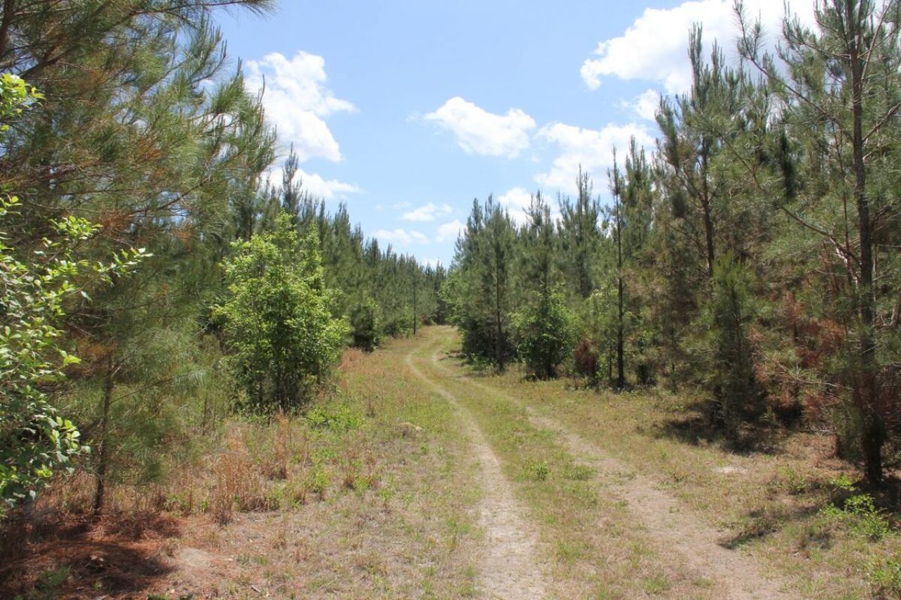 00 New Hope Road Photo 12