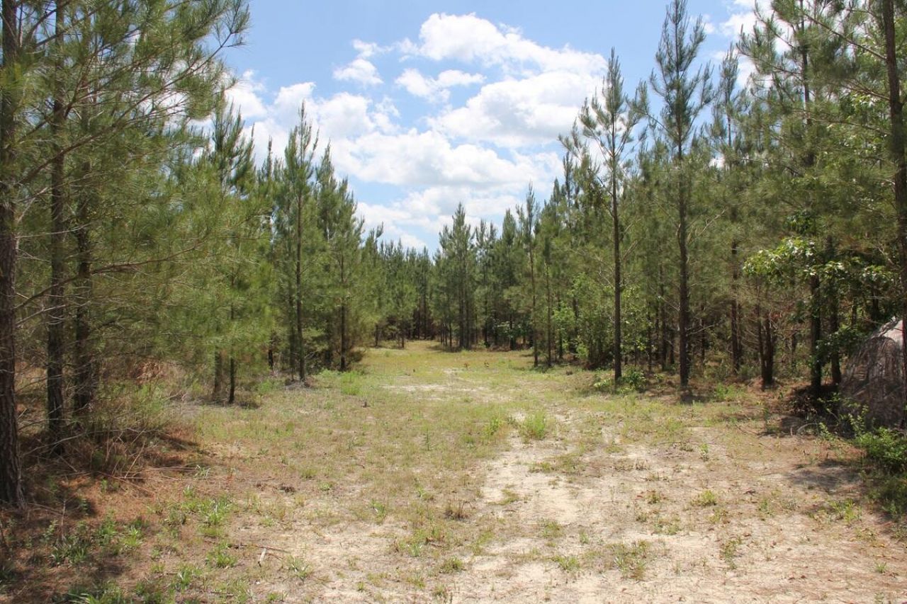 00 New Hope Road Photo 14
