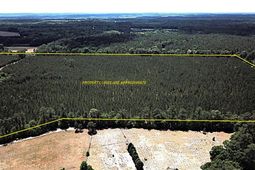 00 New Hope Road photo 4