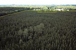 00 New Hope Road photo 4