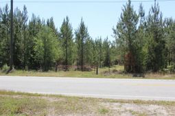 00 New Hope Road photo 4