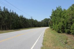 00 New Hope Road photo 4
