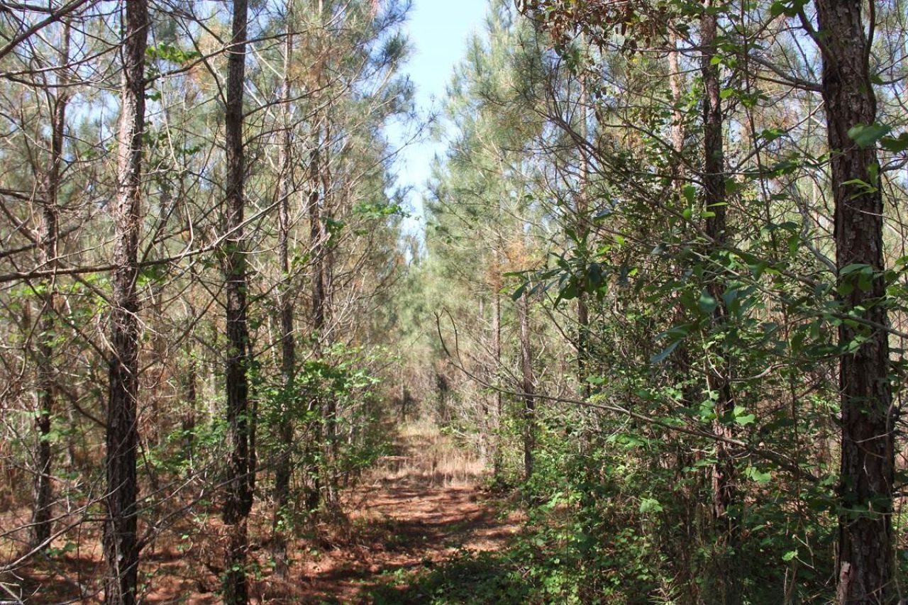 00 New Hope Road Photo 7