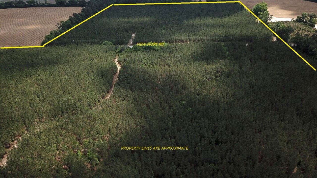 00 New Hope Road Photo 8