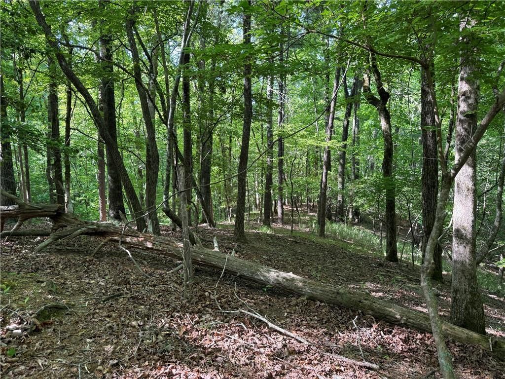 00 High Shoals Drive, Dahlonega, GA 30533 Main Photo