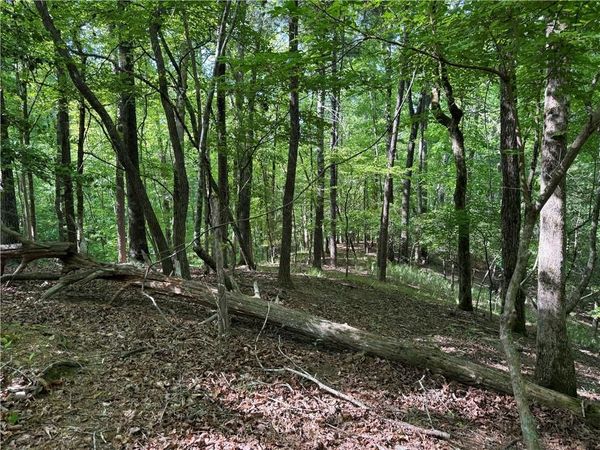 00 High Shoals Drive, Dahlonega, GA 30533