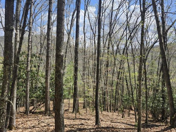 S Trailside Ln, Hillsboro, WV 24946
