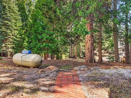 610 W Burnt Cedar Road, Unit 20, Lake Almanor, CA 96137 Photo