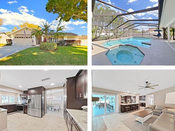 308 HAMMOCK DRIVE , PALM HARBOR, FL 34683