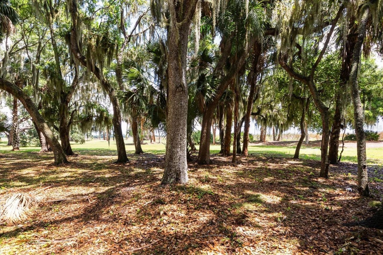 Tbd Deer Island Road, Tavares, FL 32778 Photo