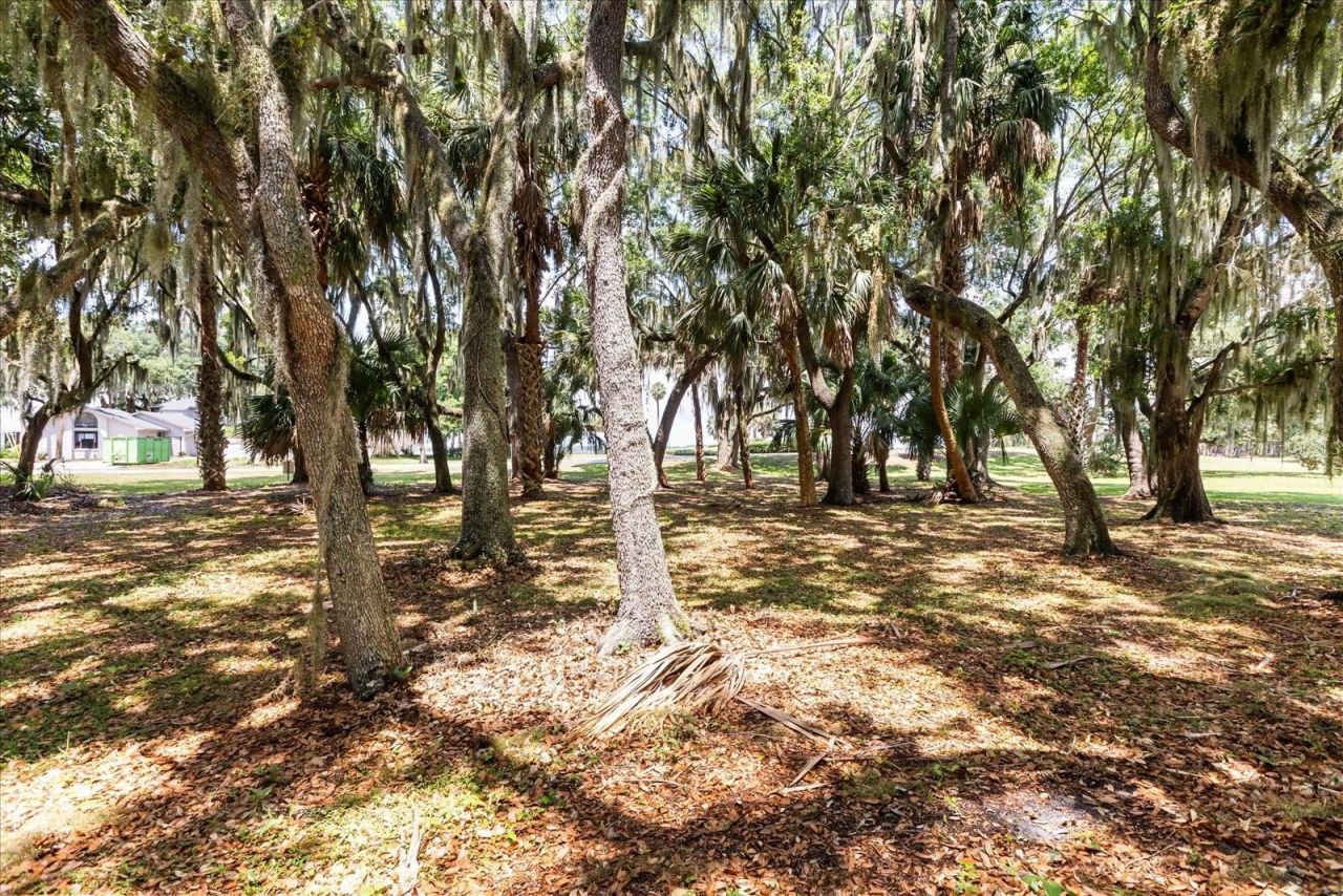 Tbd Deer Island Road, Tavares, FL 32778 Photo