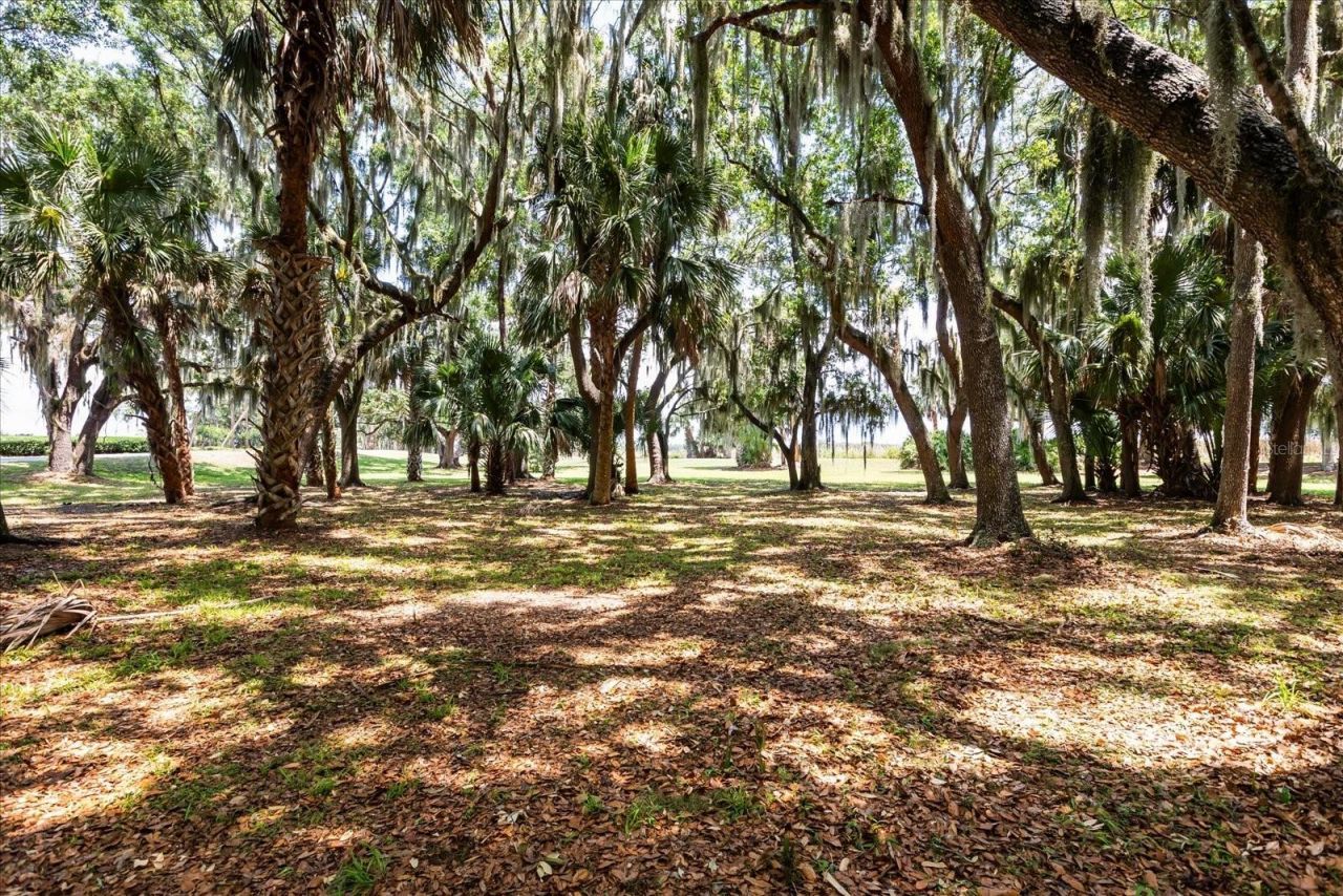 Tbd Deer Island Road, Tavares, FL 32778 Photo