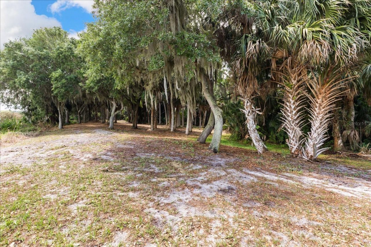 Tbd Deer Island Road, Tavares, FL 32778 Photo