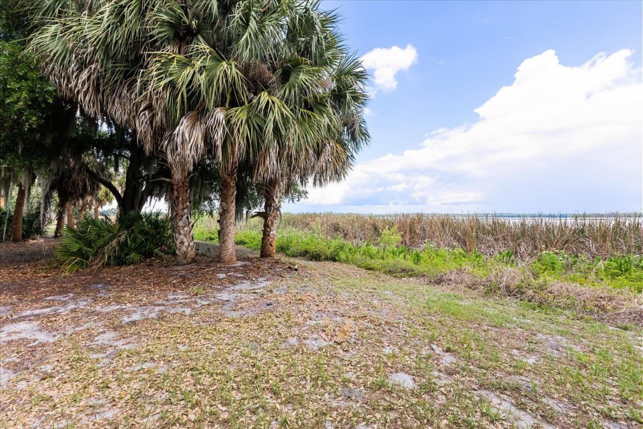 Tbd Deer Island Road, Tavares, FL 32778 Photo