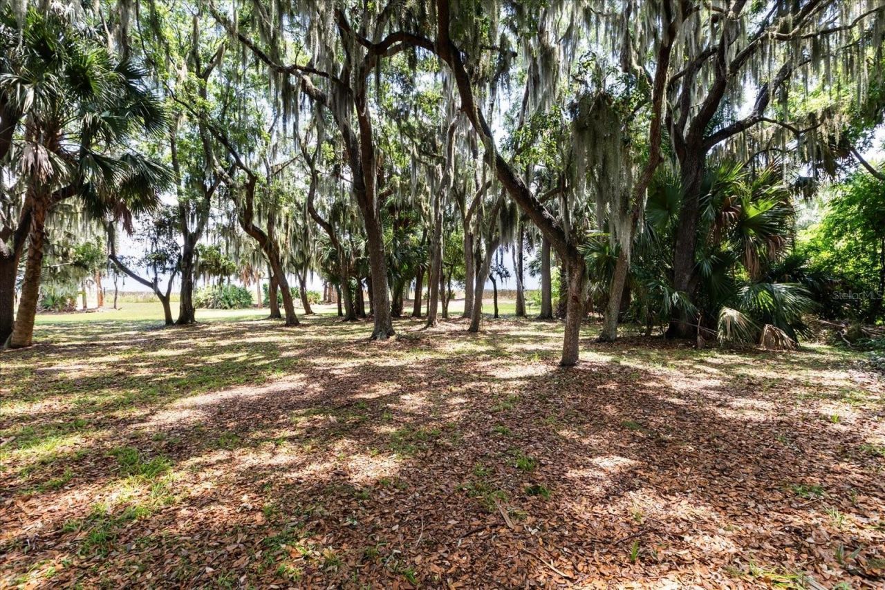 Tbd Deer Island Road, Tavares, FL 32778 Photo