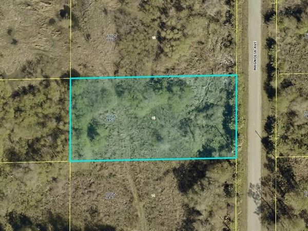 1405 MAGNOLIA AVENUE , LEHIGH ACRES, FL 33972