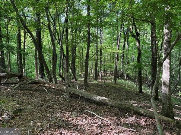 00 High Shoals Drive, Dahlonega, GA 30533