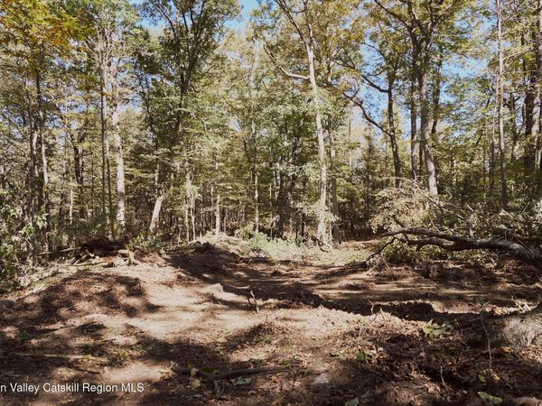 Lot 5 Flatbush Avenue, Kingston, NY 12401
