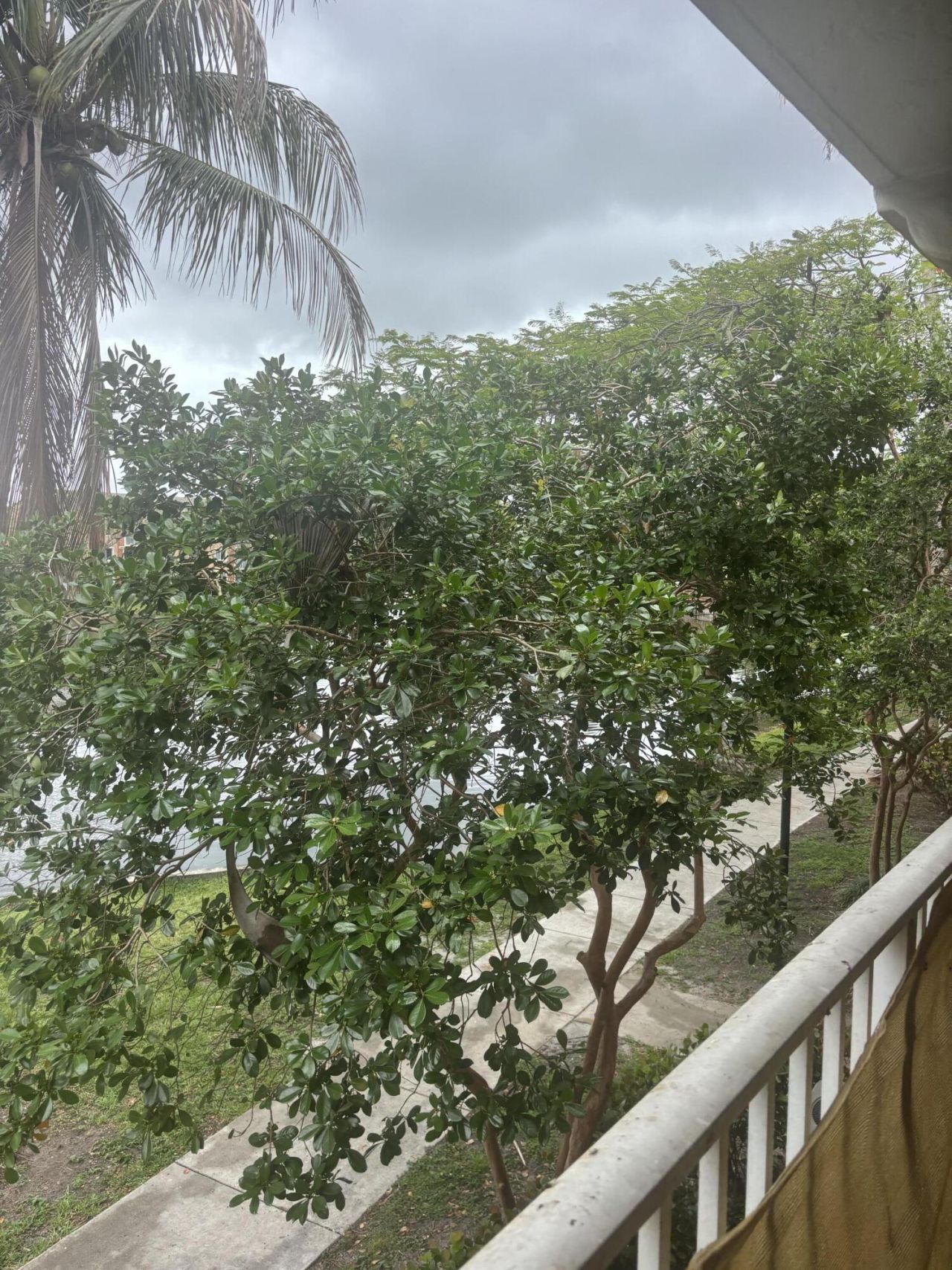 3844 Lyons Road, Unit 206, Coconut Creek, FL 33073 Photo