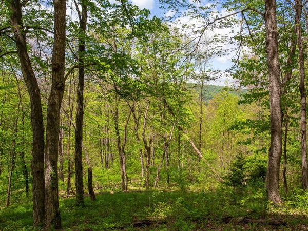 0 CHURCH MOUNTAIN LN, FULKS RUN, VA 22830