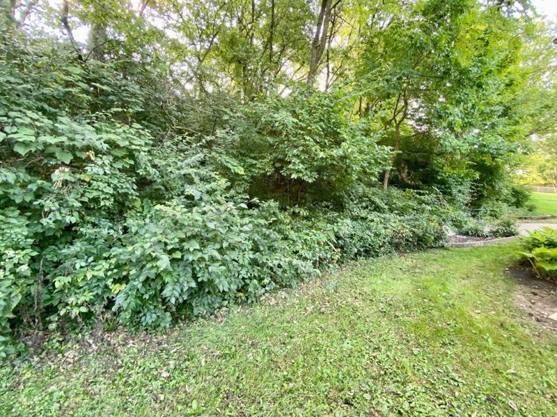 4085 Mefford Lane, Sharonville, OH 45241 Photo 37
