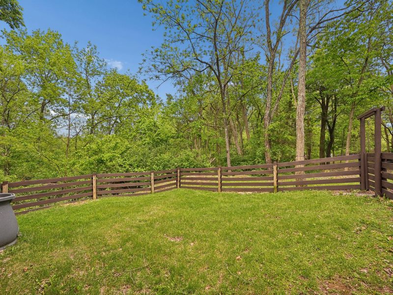 3486 Rankin Mill Road, Falmouth, KY 41040 Photo 25